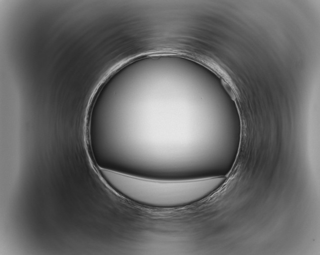 X0000096181485200801180840