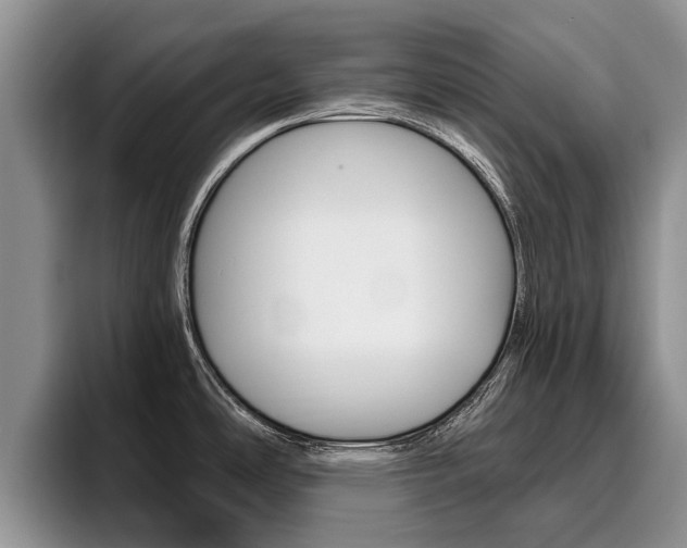 X0000096181486200801180840