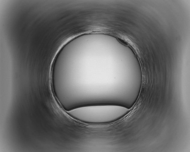 X0000096181487200801180840