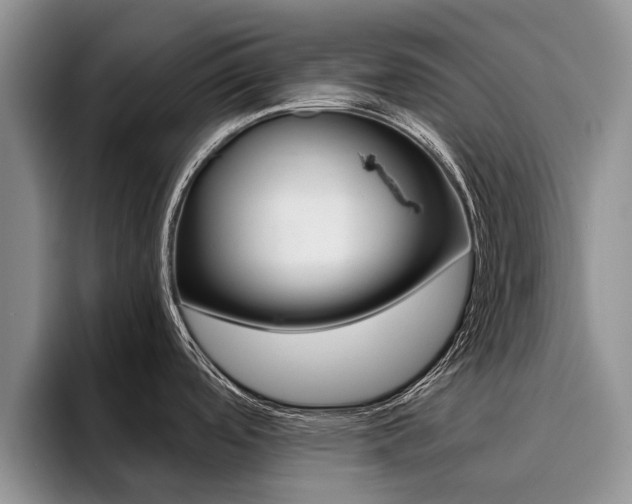 X0000096181488200801180840
