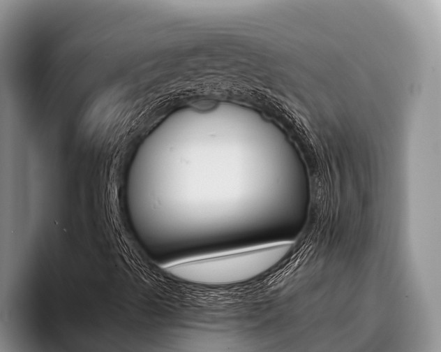 X0000096181489200801180839
