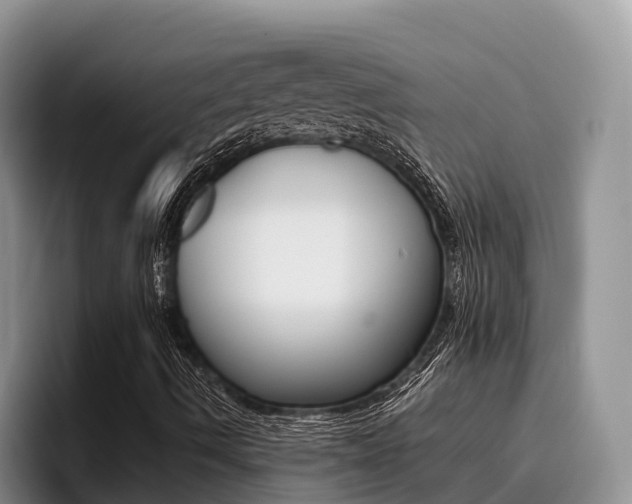 X0000096181490200801180839