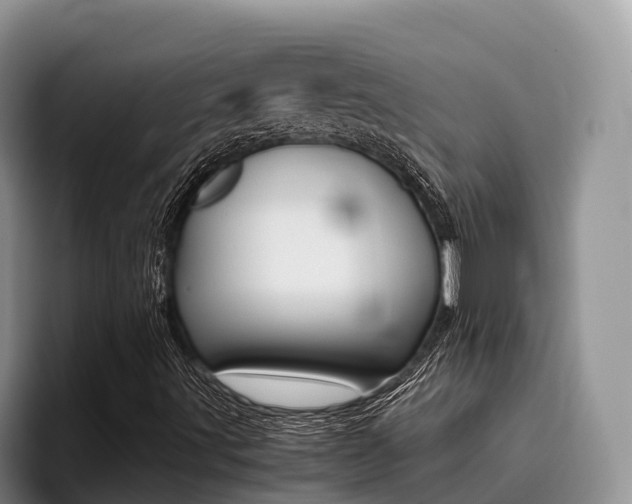 X0000096181491200801180839