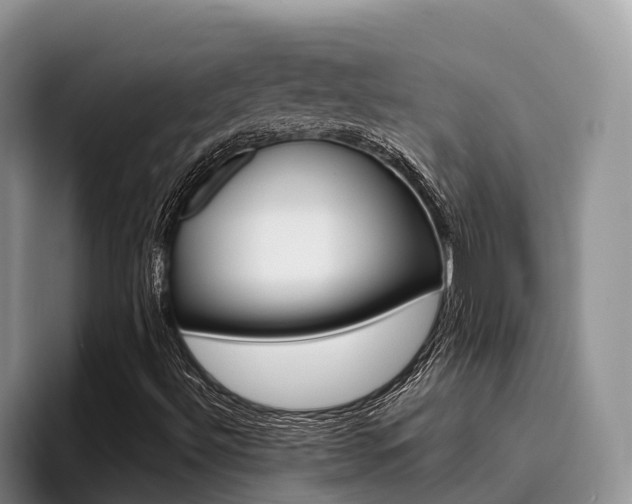 X0000096181492200801180839