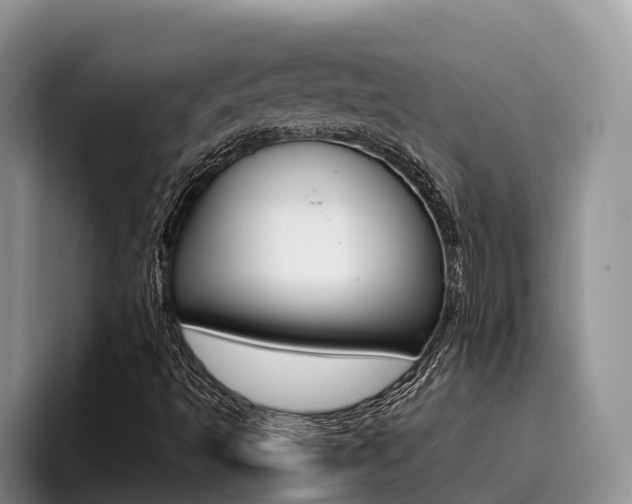 X0000096181493200801180839