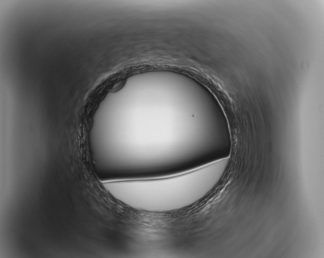 X0000096181494200801180839