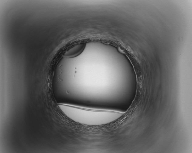 X0000096181495200801180839