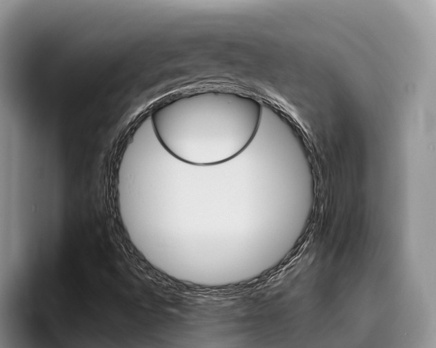X0000096181496200801180839
