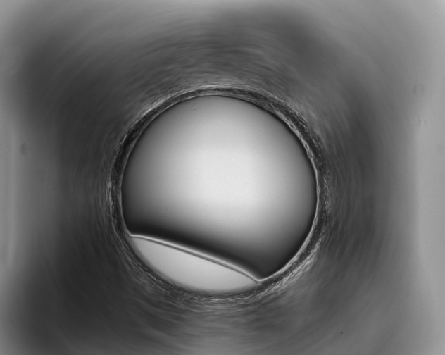 X0000096181497200801180839