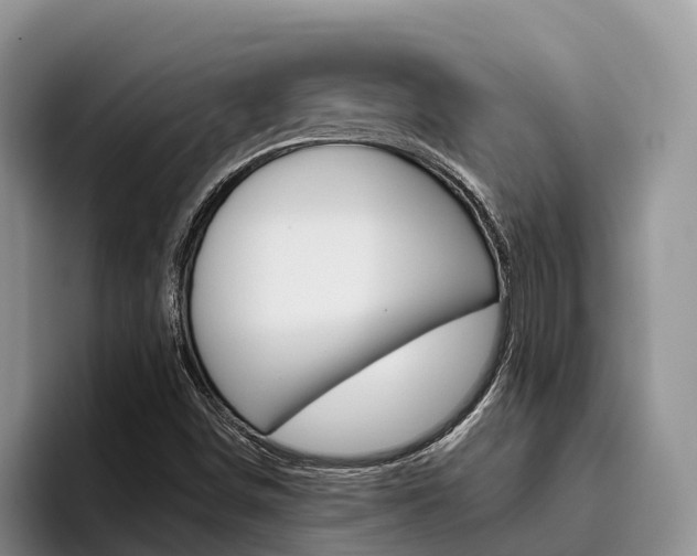 X0000096181498200801180839