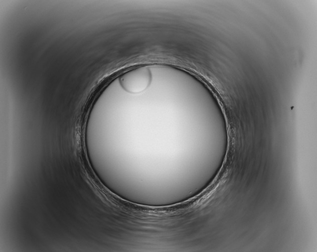 X0000096181499200801180839
