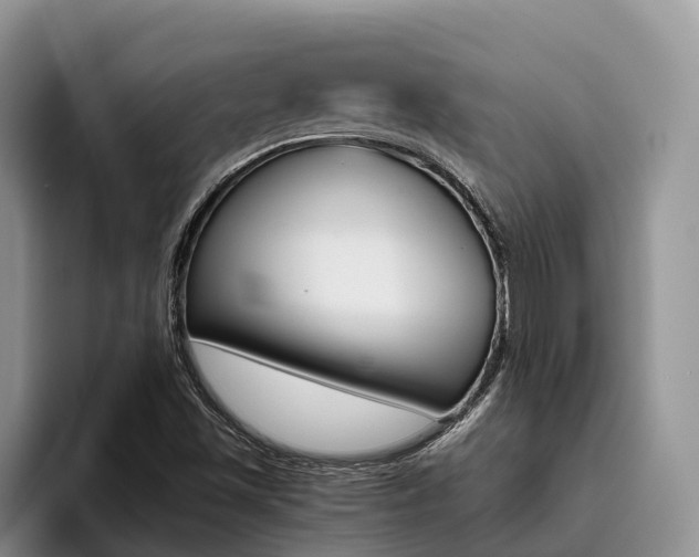 X0000096181501200801180839
