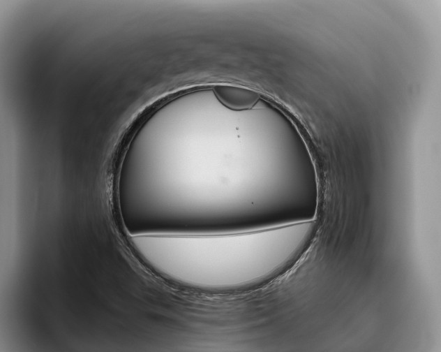 X0000096181503200801180840