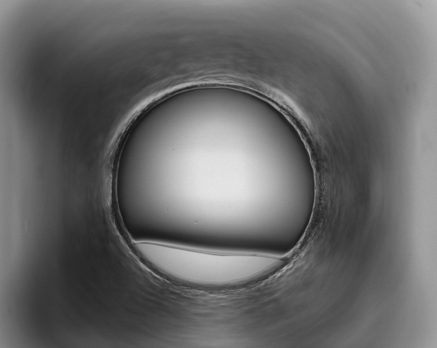 X0000096181504200801180840