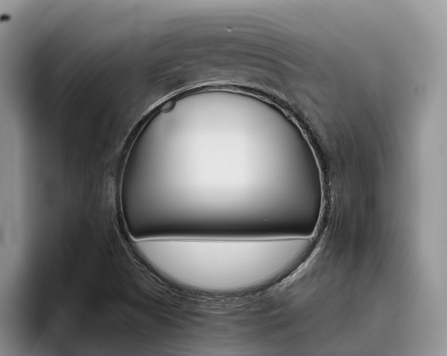 X0000096181505200801180840