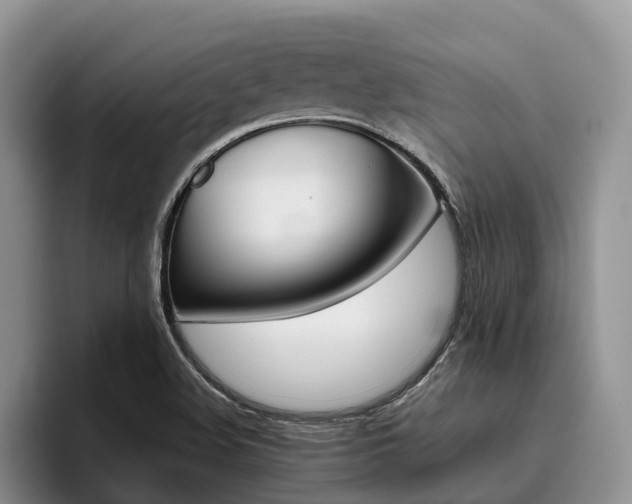 X0000096181508200801180840