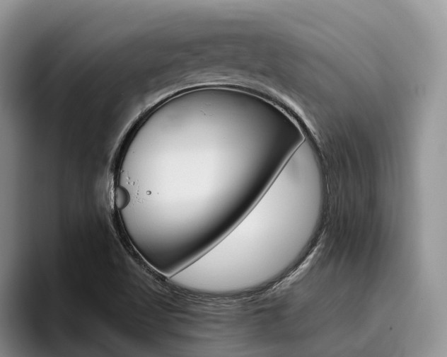 X0000096181509200801180840