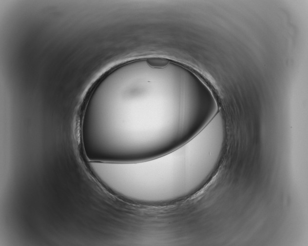 X0000096181510200801180840