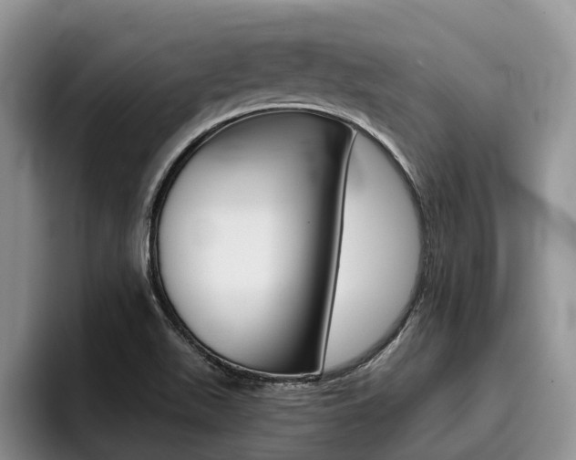 X0000096181511200801180840