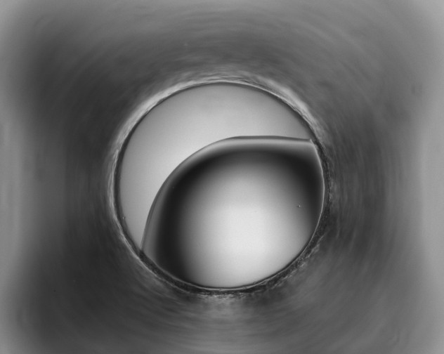 X0000096181512200801180840