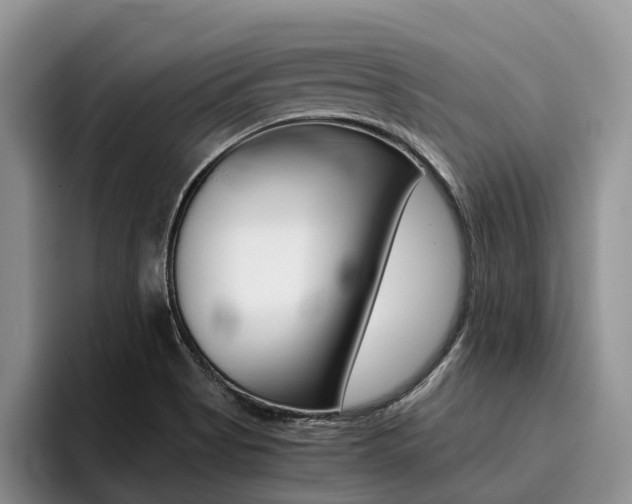 X0000096181513200801180840