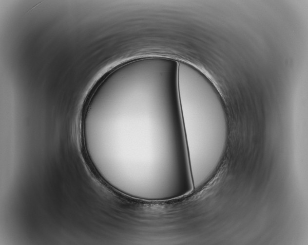 X0000096181515200801180840