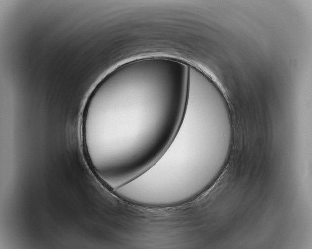 X0000096181516200801180840