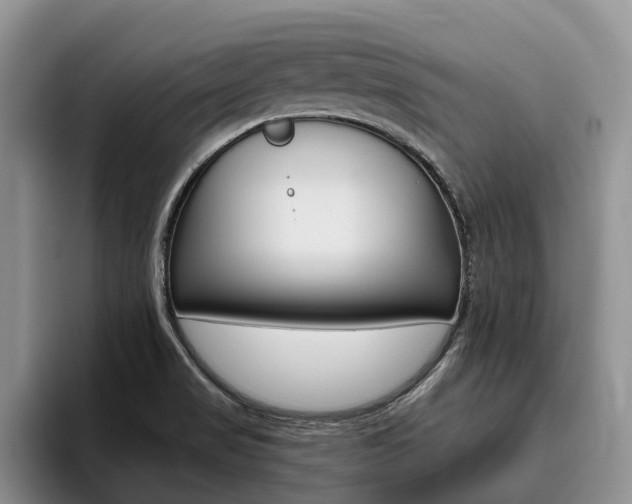 X0000096181517200801180840