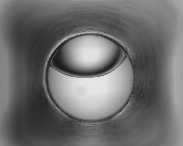 X0000096181518200801180840