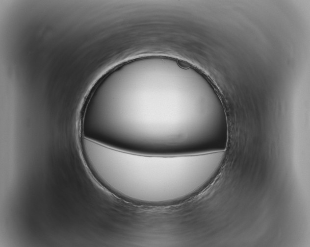 X0000096181519200801180840
