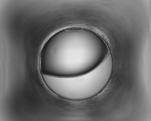 X0000096181520200801180840