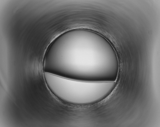 X0000096181521200801180840