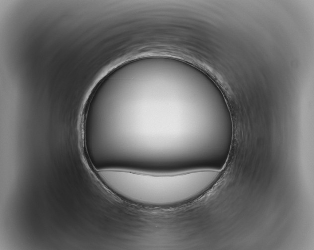 X0000096181522200801180840