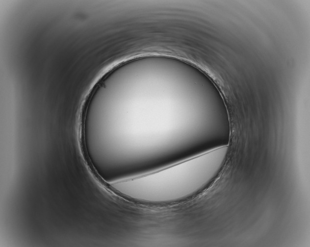 X0000096181523200801180840