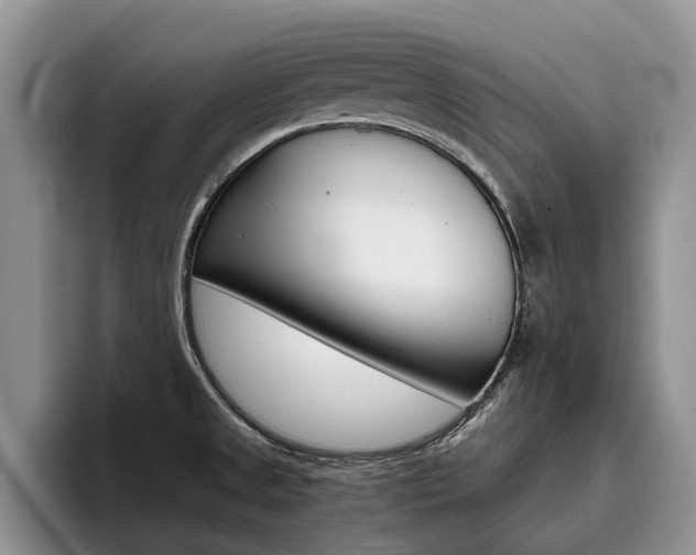 X0000096181525200801180840