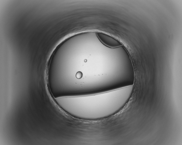 X0000096181526200801180840