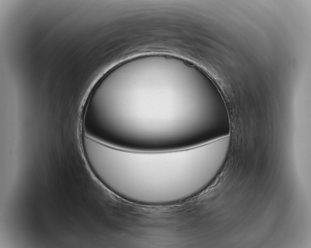 X0000096181527200801180840