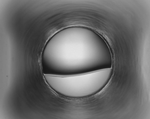 X0000096181529200801180840