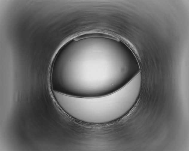 X0000096181530200801180840