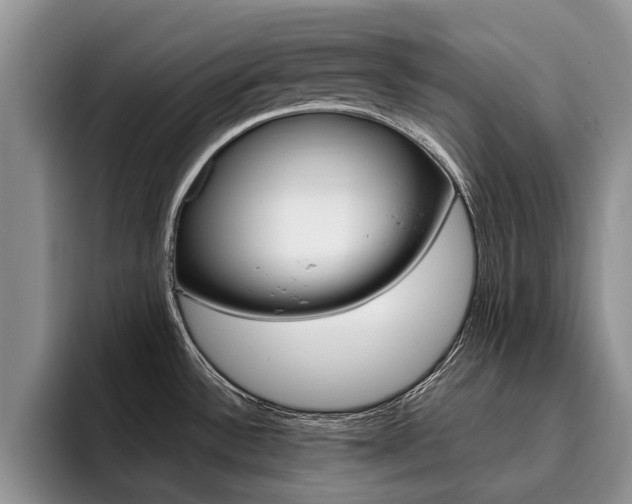 X0000096181532200801180840
