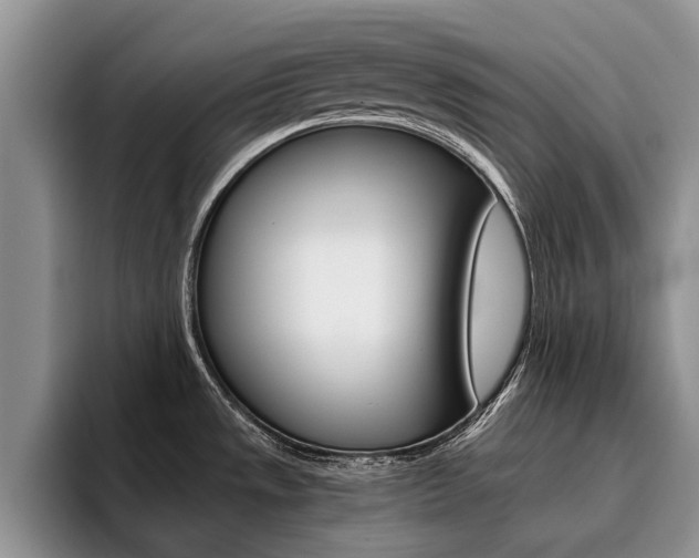 X0000096181533200801180840