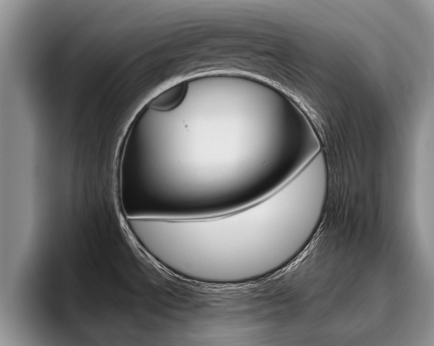 X0000096181534200801180840