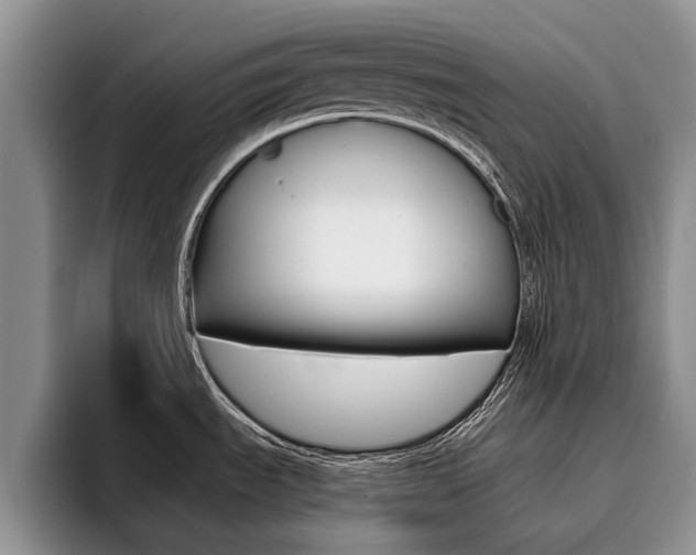 X0000096181535200801180840