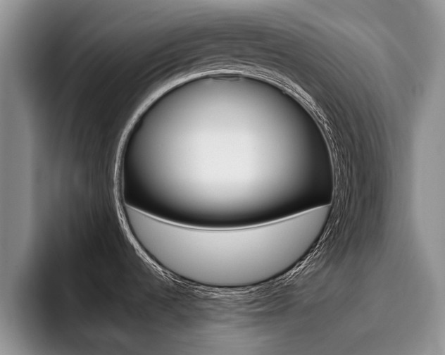 X0000096181536200801180840