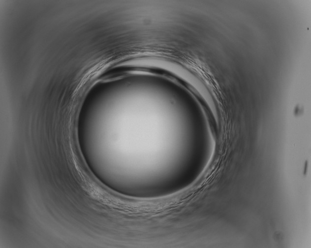 X0000096180001200801181322