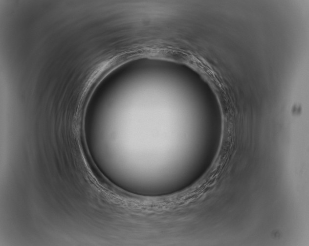 X0000096180003200801181322