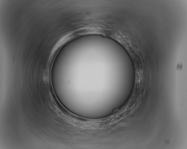 X0000096180004200801181322