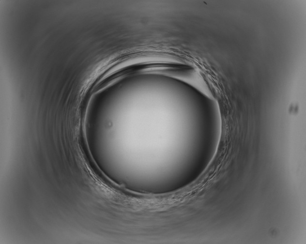X0000096180005200801181322