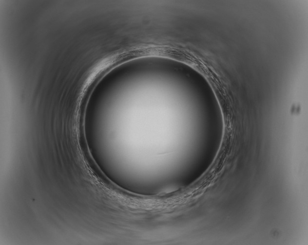 X0000096180006200801181322