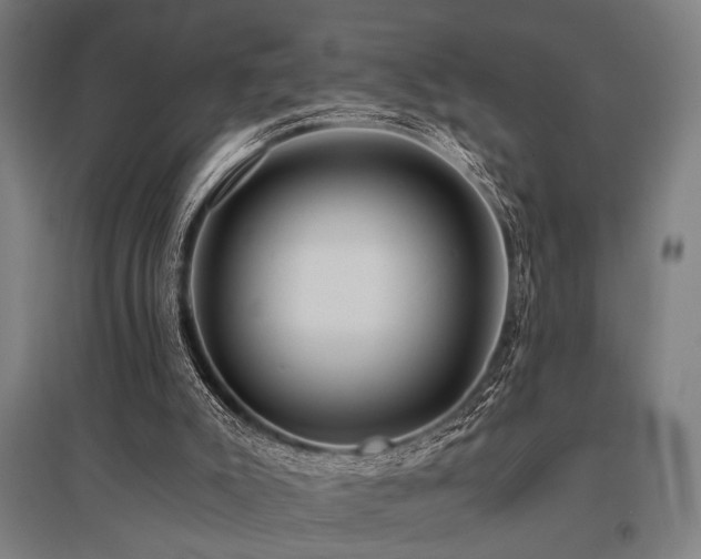 X0000096180007200801181322